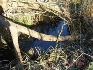 Добротимофіївка з panoramio.com