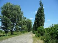 Сніжна з panoramio.com