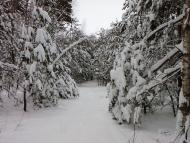 Андріївка з panoramio.com