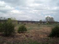 Тарасенки з panoramio.com - Тарасенки