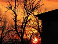 Семенівка з panoramio.com