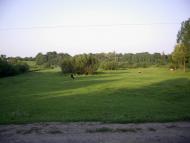 Пліщин з panoramio.com