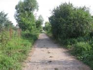 Петрушин з panoramio.com