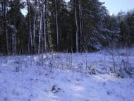 Стрижівка з panoramio.com