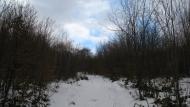 Ворочово з panoramio.com - Ворочево