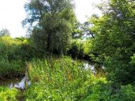 Верхня Кринка з panoramio.com