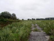 Остроушки з panoramio.com