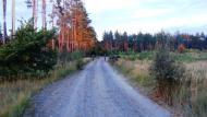 Макалевичі з panoramio.com