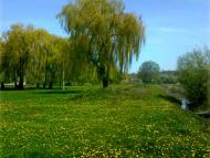 Аристівка з panoramio.com