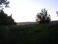 Битиця з panoramio.com