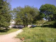 Айвове з panoramio.com