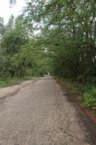 Геронимівка з panoramio.com - Geronymivka