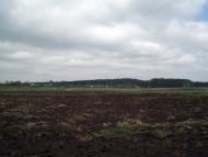 Тарасенки з panoramio.com