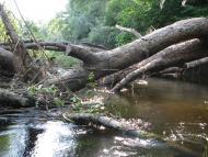 Усть-Лип'янка з panoramio.com