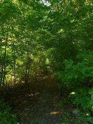 Знаменівка з panoramio.com - Znamenivka