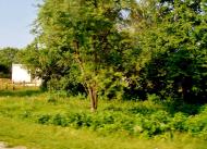 Лук'янівка з panoramio.com