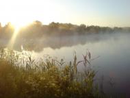 Мироновка - Последние фото