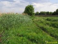 Миколаївка з panoramio.com