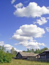 Вільхова з panoramio.com