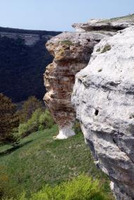 Топольне з panoramio.com