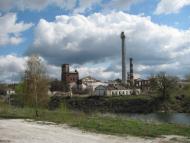 Буринь з panoramio.com