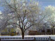 Висоцьк з panoramio.com