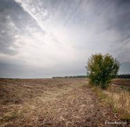 Гулі з panoramio.com