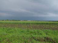 Домажир з panoramio.com