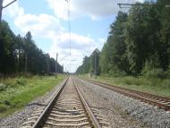 Купине з panoramio.com