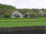 Іванівка з panoramio.com