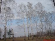 Ображіївка з panoramio.com