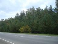 Цвітоха з panoramio.com