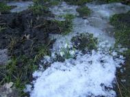 Ков'ярі з panoramio.com