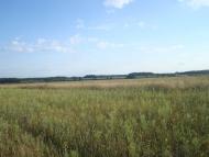 Зірка з panoramio.com