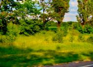 Бране Поле з panoramio.com