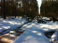 Макалевичі з panoramio.com