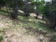 Відрадне з panoramio.com