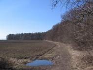 Малинівка з panoramio.com