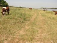 Ганнівка з panoramio.com