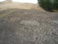 Подо-Калинівка з panoramio.com