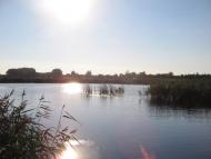 Лука з panoramio.com