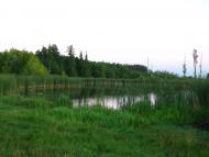 Роїще з panoramio.com