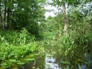 Стобихва з panoramio.com