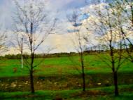 Путрівка з panoramio.com