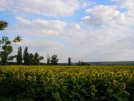 Миколаївка з panoramio.com