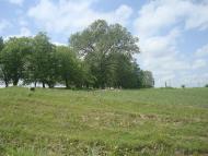 Осташки з panoramio.com