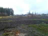 Подоли з panoramio.com