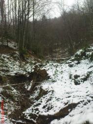 Город з panoramio.com