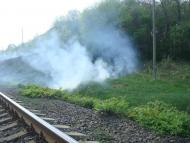 Великі Пузирки з panoramio.com