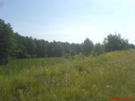 Вирівка з panoramio.com